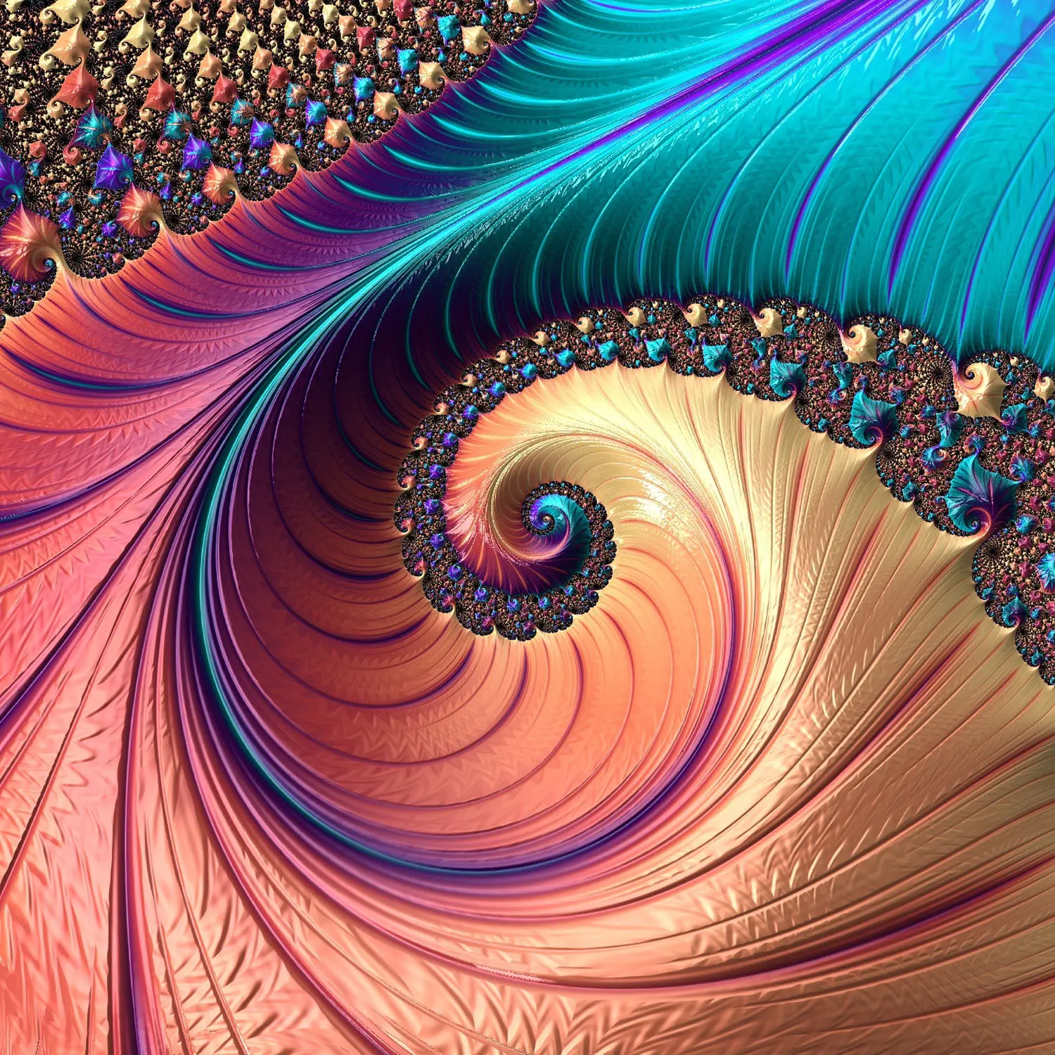 Slider Image